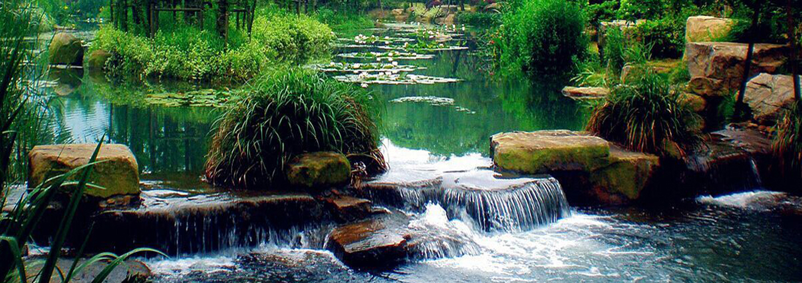 url(http://www.rilesphoto.com/theme/TP000163/pic/banner3.jpg)