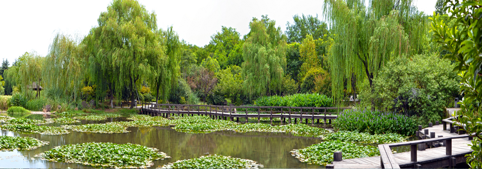 url(http://www.rilesphoto.com/theme/TP000163/pic/banner4.jpg)